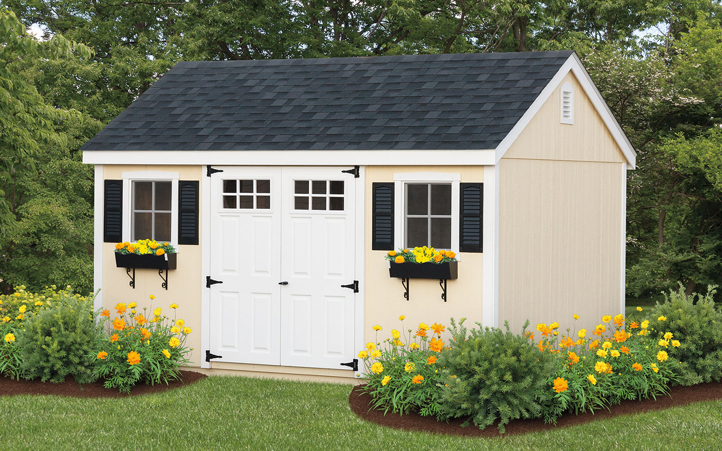 cream and navy storage shed with flower boxes in the window