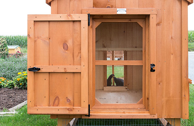 custom built outdoor chicken coop for residential properties in md