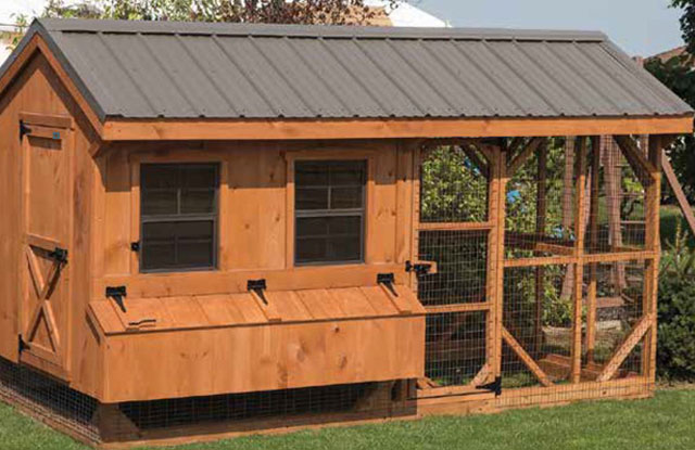 Chicken Coop for Sale - OversizeD WooDen Chicken Coop